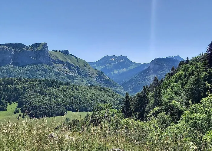 Appartement à La Montagne Bellevaux